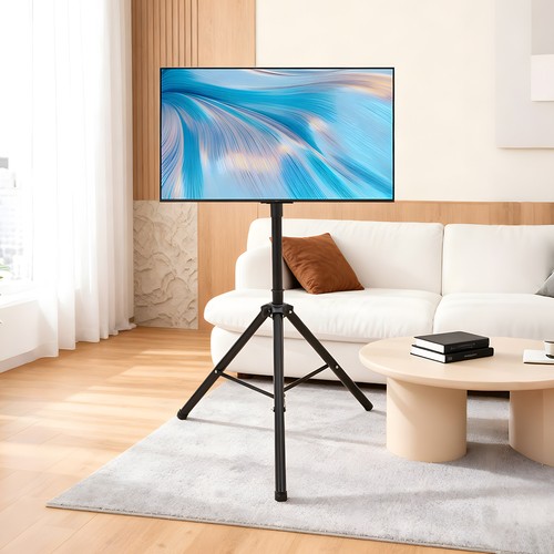 Floor standing portable - portable, tv
